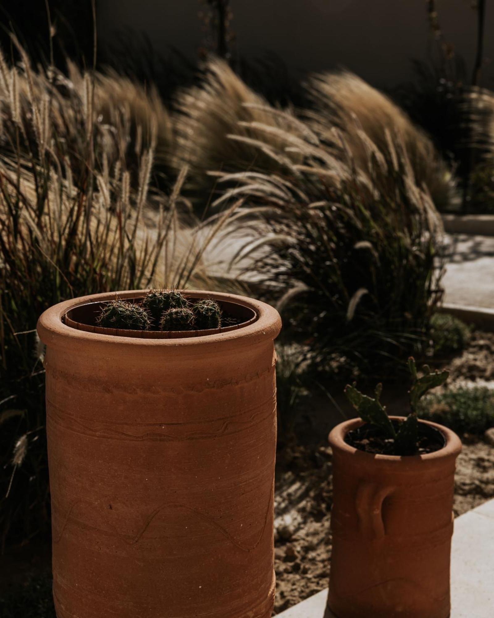 Amente Mindful Hotel Plakias